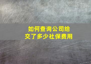 如何查询公司给交了多少社保费用