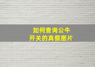 如何查询公牛开关的真假图片