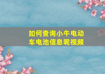 如何查询小牛电动车电池信息呢视频