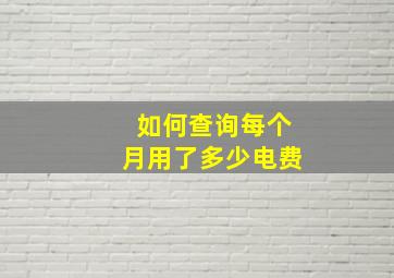 如何查询每个月用了多少电费