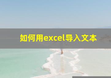 如何用excel导入文本