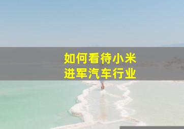 如何看待小米进军汽车行业