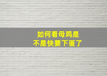 如何看母鸡是不是快要下蛋了