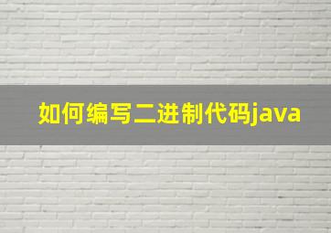 如何编写二进制代码java