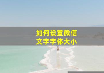 如何设置微信文字字体大小