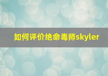 如何评价绝命毒师skyler