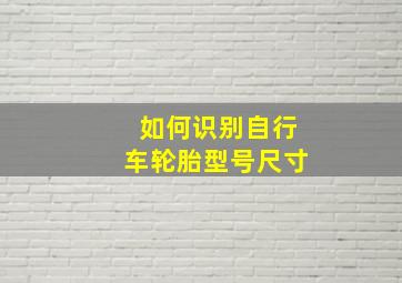 如何识别自行车轮胎型号尺寸