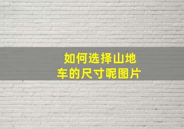 如何选择山地车的尺寸呢图片