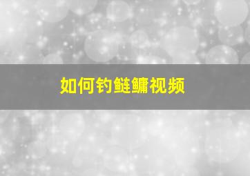 如何钓鲢鳙视频