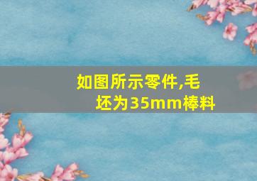 如图所示零件,毛坯为35mm棒料