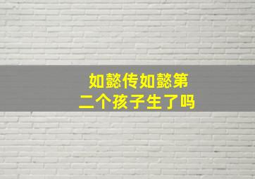 如懿传如懿第二个孩子生了吗