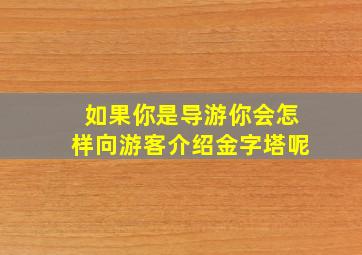 如果你是导游你会怎样向游客介绍金字塔呢