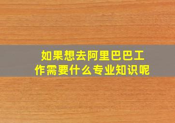 如果想去阿里巴巴工作需要什么专业知识呢