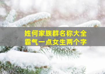 姓何家族群名称大全霸气一点女生两个字