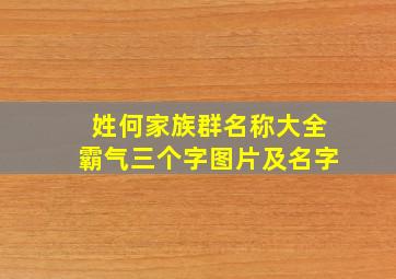 姓何家族群名称大全霸气三个字图片及名字