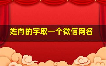 姓向的字取一个微信网名