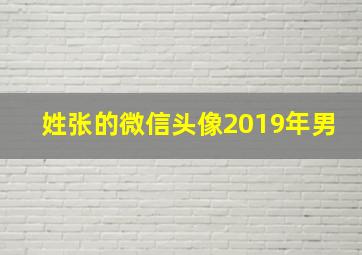 姓张的微信头像2019年男