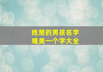 姓楚的男孩名字唯美一个字大全