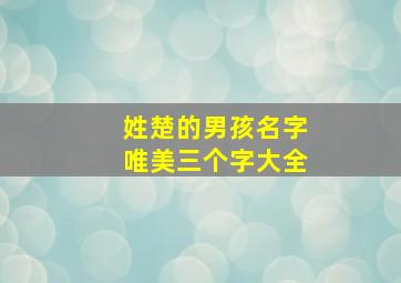 姓楚的男孩名字唯美三个字大全