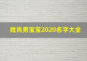 姓肖男宝宝2020名字大全