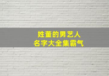 姓董的男艺人名字大全集霸气