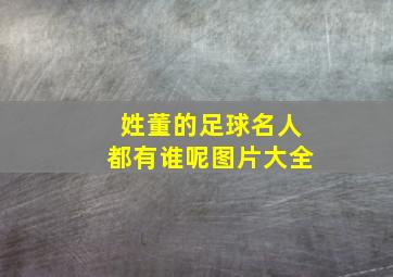 姓董的足球名人都有谁呢图片大全