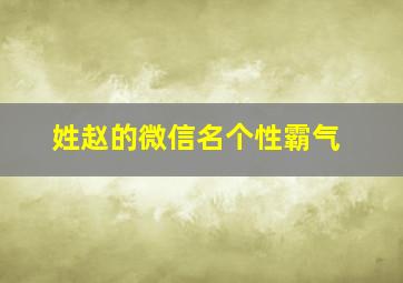 姓赵的微信名个性霸气