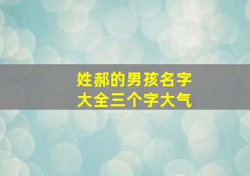 姓郝的男孩名字大全三个字大气