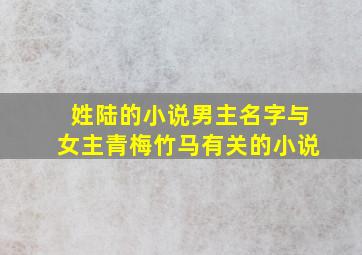 姓陆的小说男主名字与女主青梅竹马有关的小说