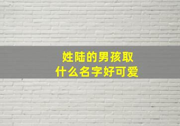 姓陆的男孩取什么名字好可爱