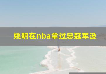 姚明在nba拿过总冠军没