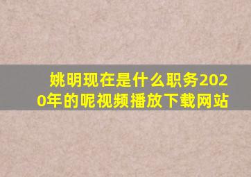 姚明现在是什么职务2020年的呢视频播放下载网站