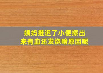 姨妈推迟了小便擦出来有血还发烧啥原因呢