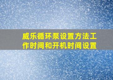 威乐循环泵设置方法工作时间和开机时间设置