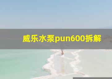 威乐水泵pun600拆解