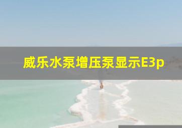 威乐水泵增压泵显示E3p