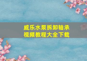 威乐水泵拆卸轴承视频教程大全下载