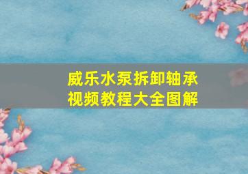 威乐水泵拆卸轴承视频教程大全图解