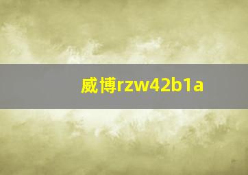 威博rzw42b1a