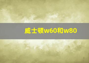 威士顿w60和w80