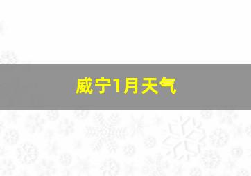 威宁1月天气