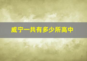 威宁一共有多少所高中