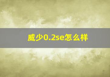 威少0.2se怎么样