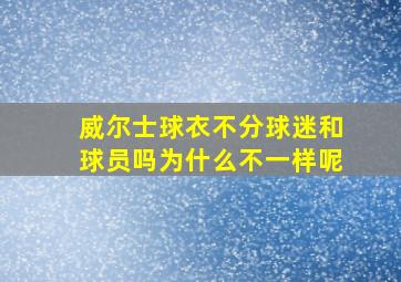 威尔士球衣不分球迷和球员吗为什么不一样呢