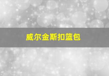 威尔金斯扣篮包