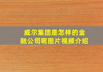 威尔集团是怎样的金融公司呢图片视频介绍