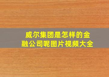 威尔集团是怎样的金融公司呢图片视频大全