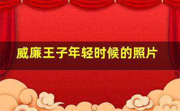 威廉王子年轻时候的照片