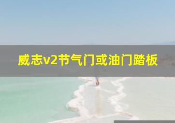 威志v2节气门或油门踏板