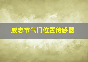 威志节气门位置传感器